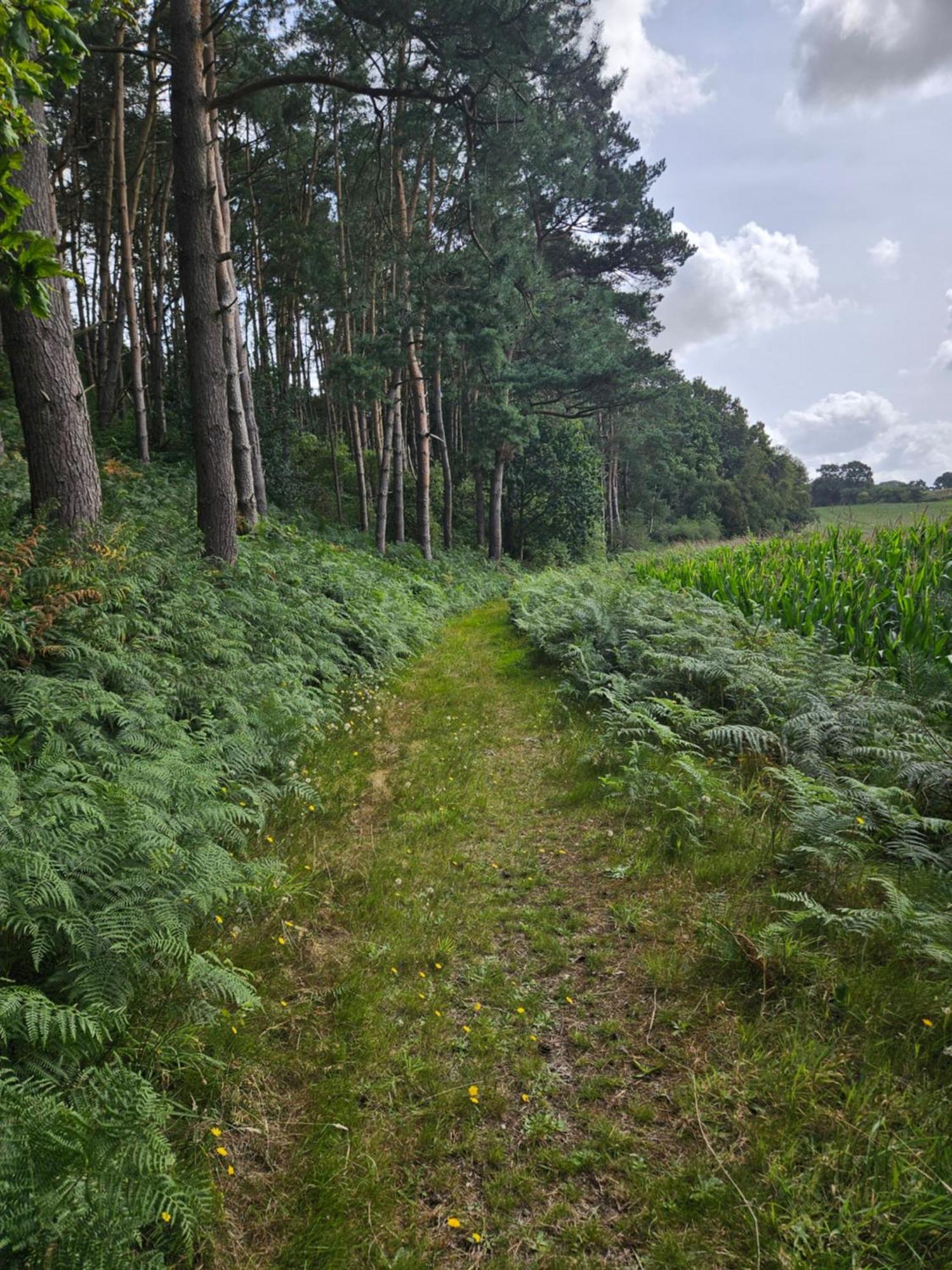 Gites 4,6 Personnes Fecamp Etretat Colleville Exteriér fotografie